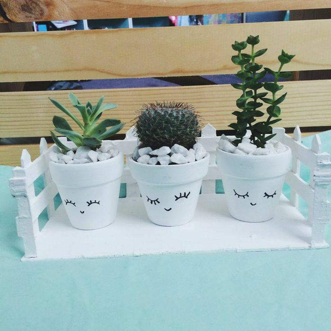 Social Decoração 