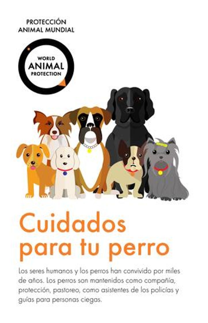 Moda Cuidados para tu perro