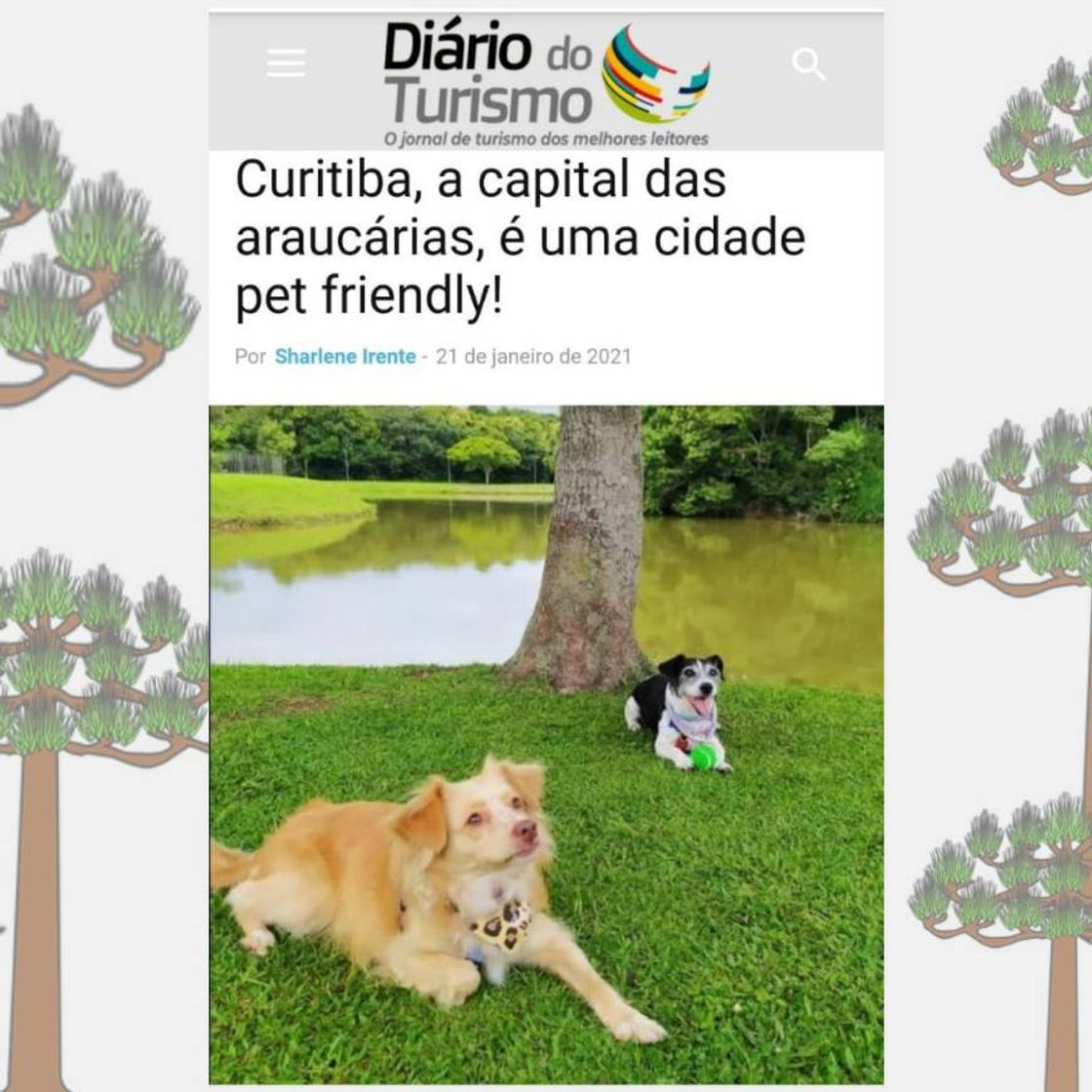 Lugar O que fazer em Curitiba.com cachorro? Dicas pet friendly 🐾