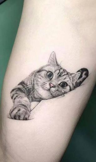 Tattoo de gato Fofos