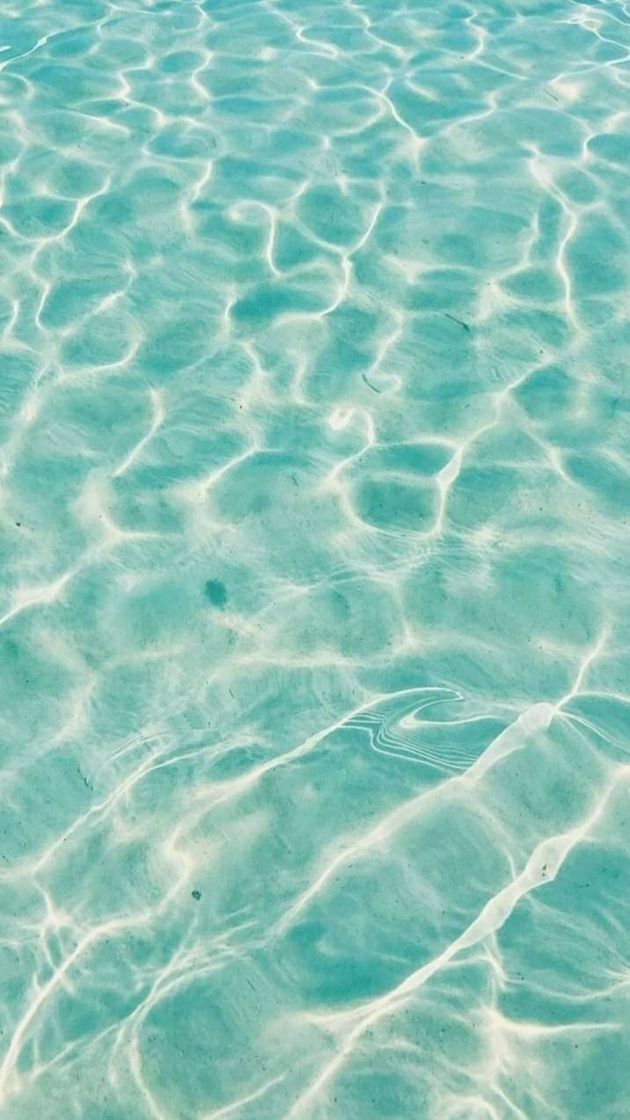 💦❤🏝🏖🦋