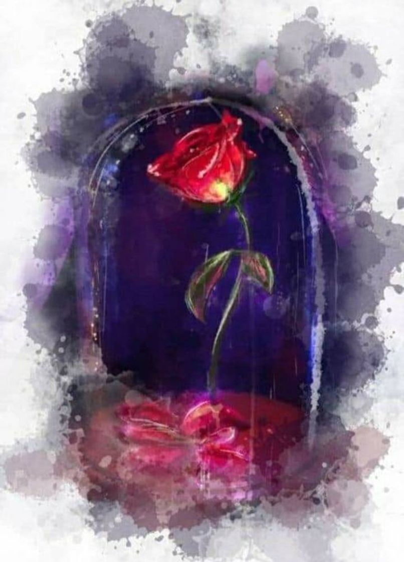 ❤🥀🍃