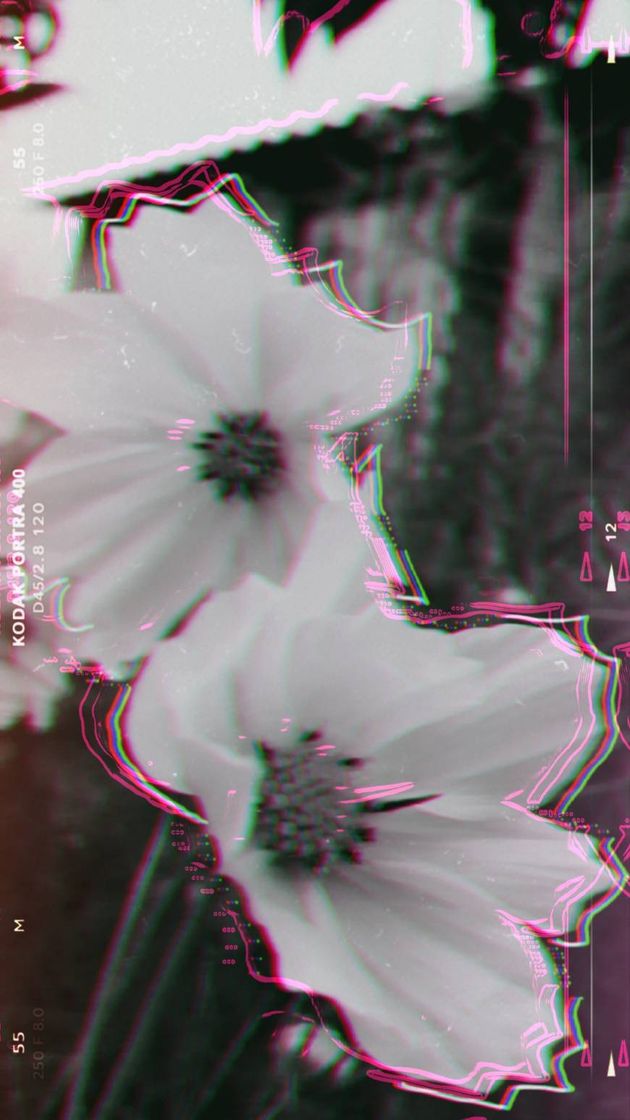 🦋🌻🐞💐🌸🌵🌹🍀🌺
