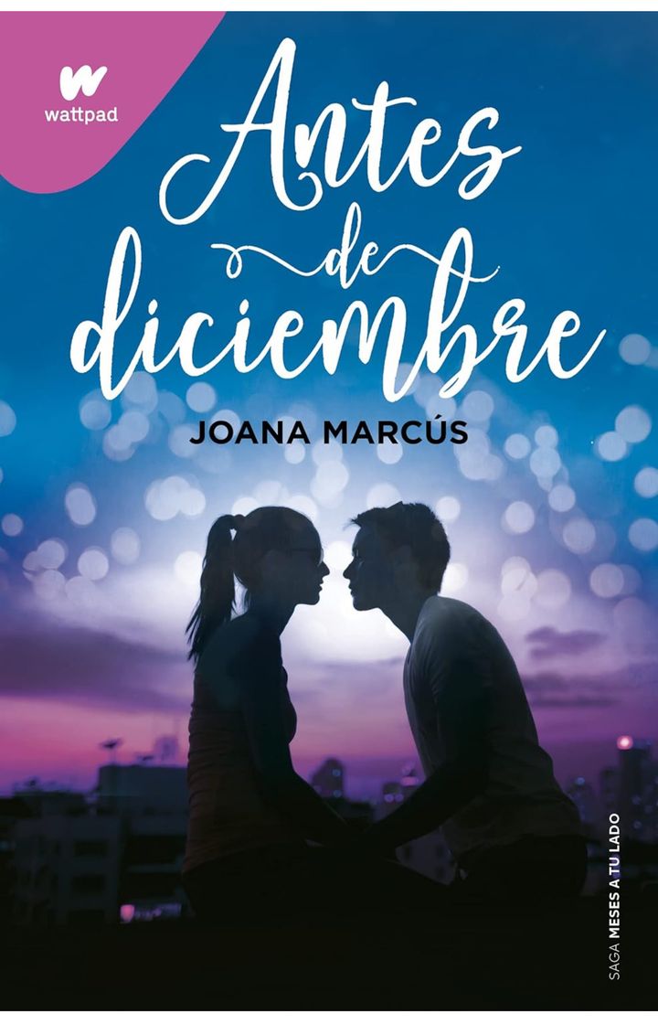Book Antes de diciembre