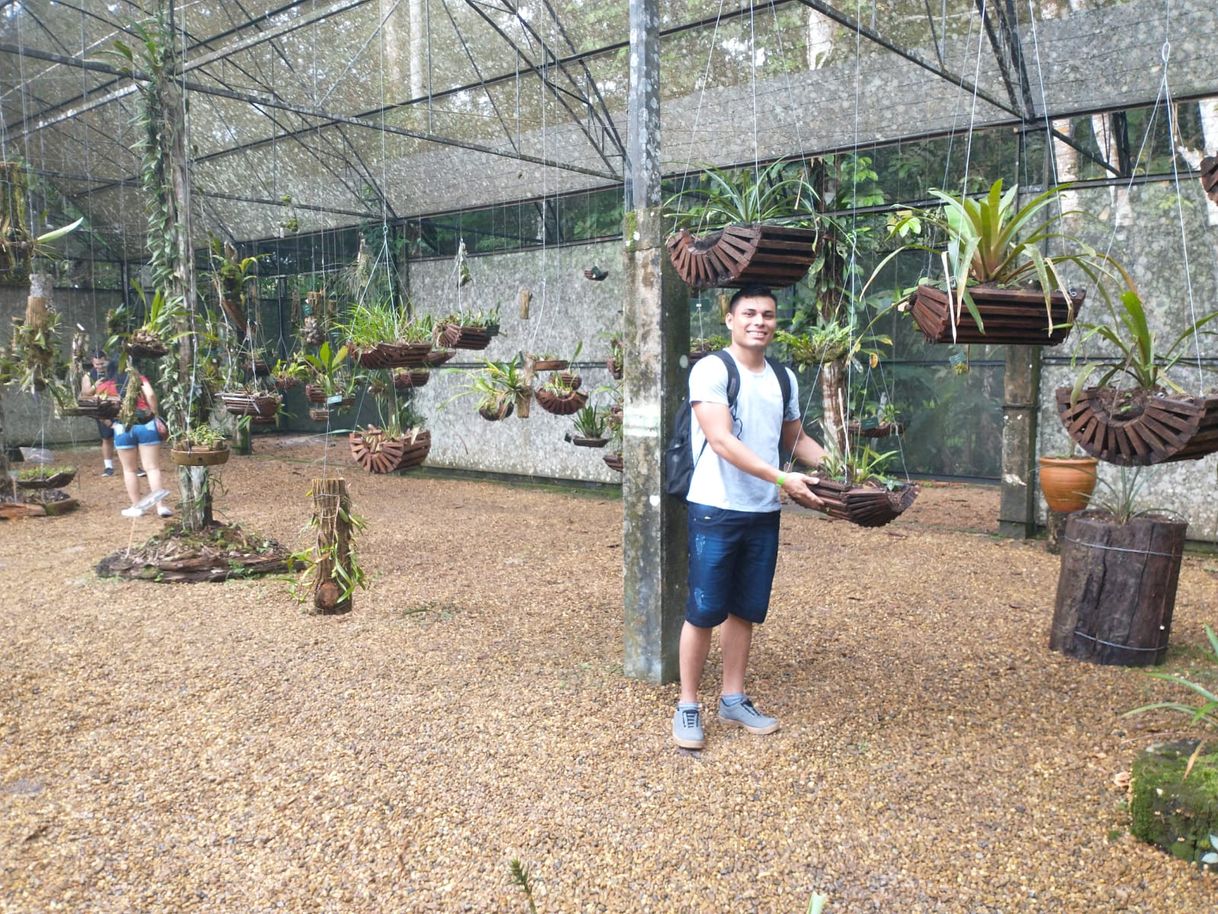 Lugar MUSA Museu da Amazônia