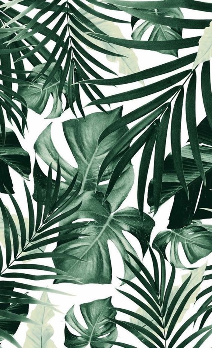 Fashion wallpaper com folhas 🌿💚