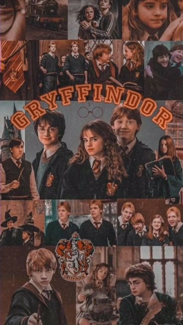 Fashion Harry Potter: wallpaper grifinória 🦁 