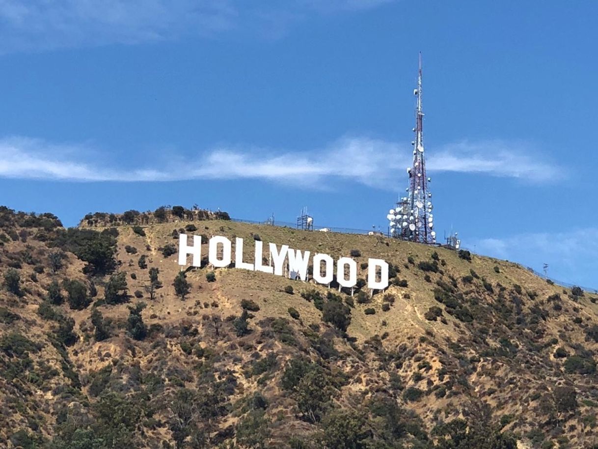 Place Hollywood Sign