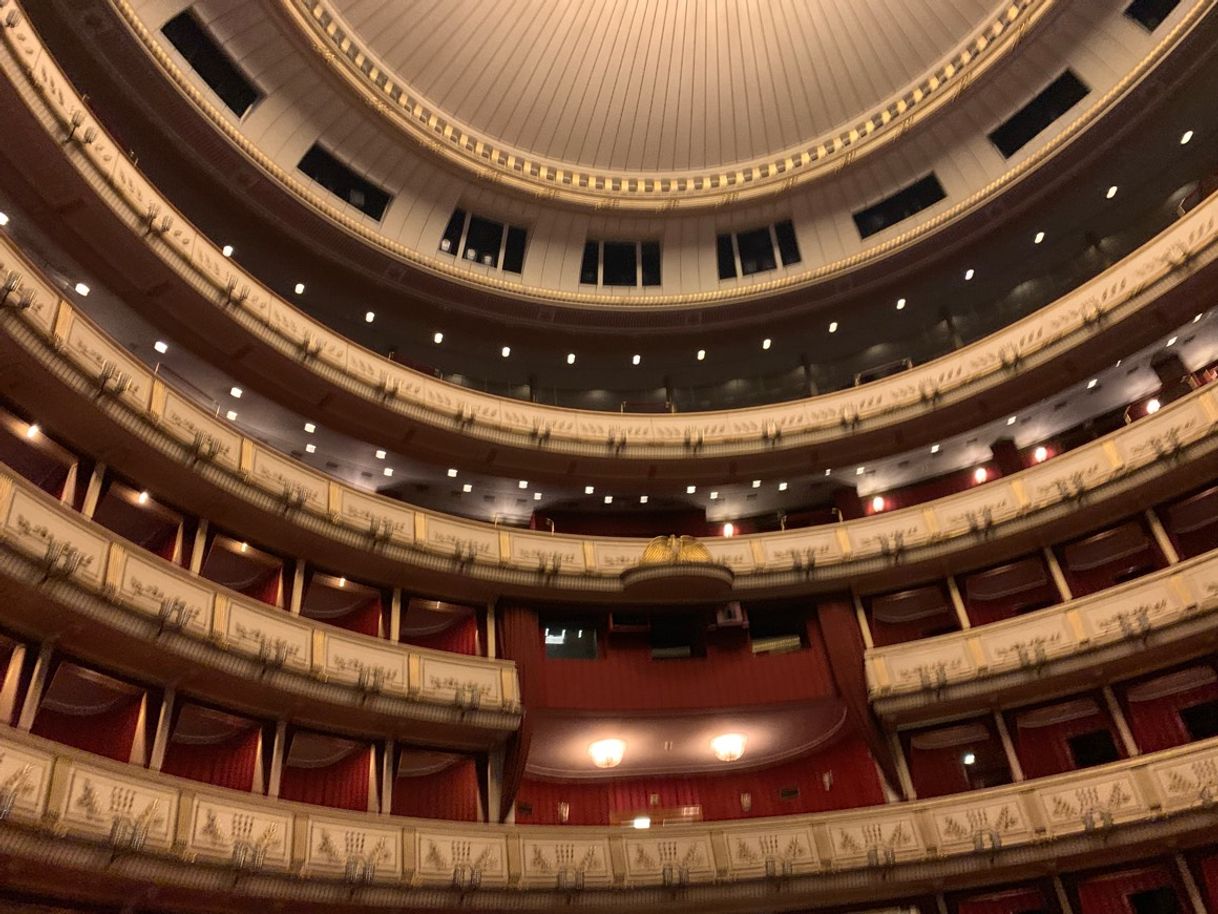 Place Vienna Operahouse