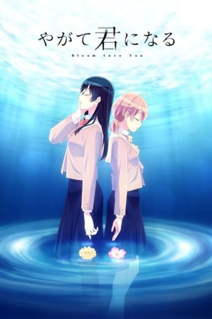 Série Bloom Into You