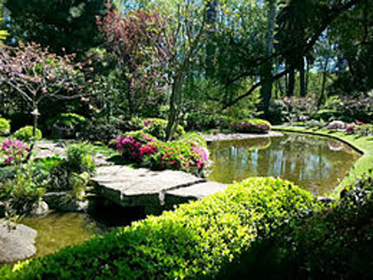 Lugar Jardín Japonés de Montevideo