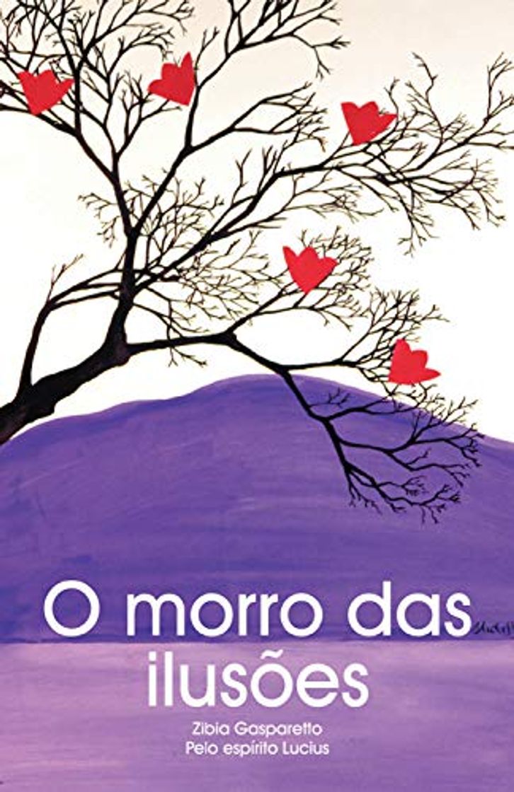 Libro O morro das ilusões