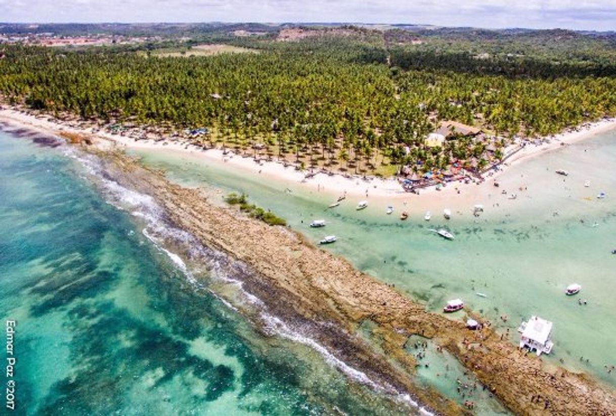 Place Praia dos Carneiros