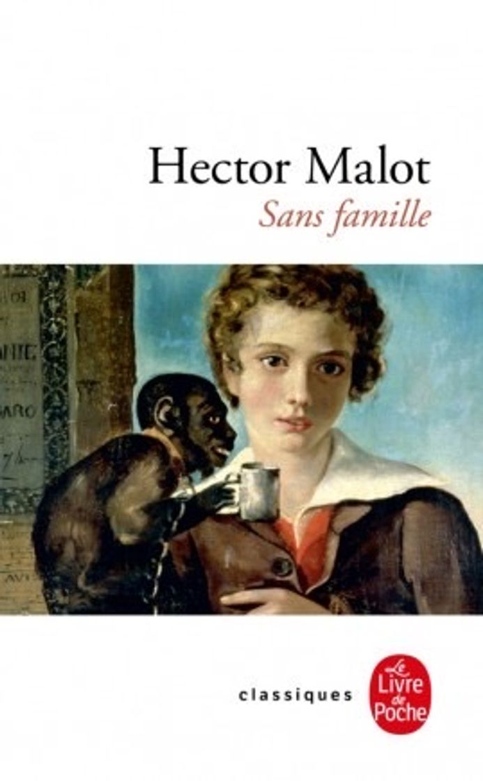 Book Sans famille: Cycle 3