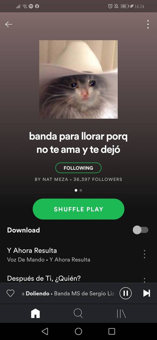 Music Banda para llorar porque no te quiere 