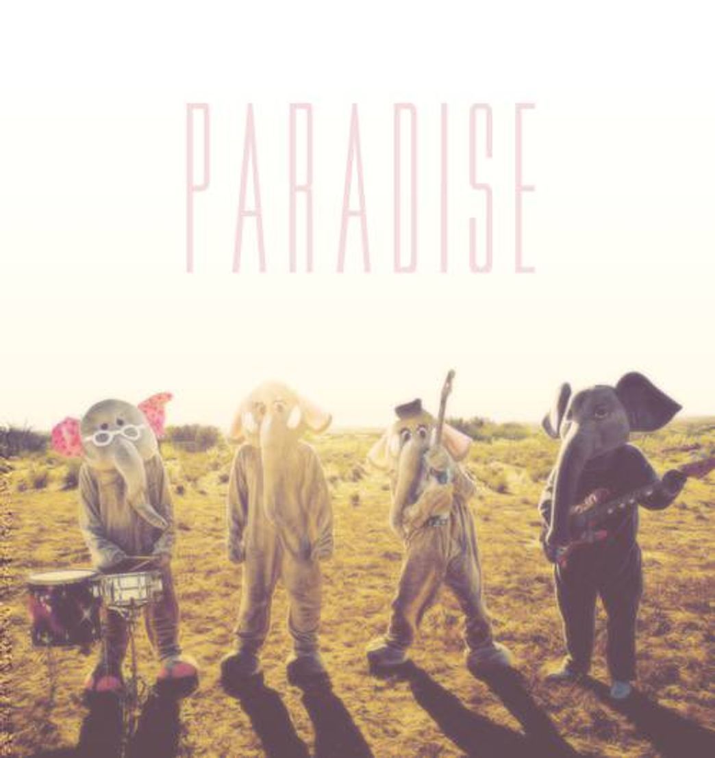 Music Paradise