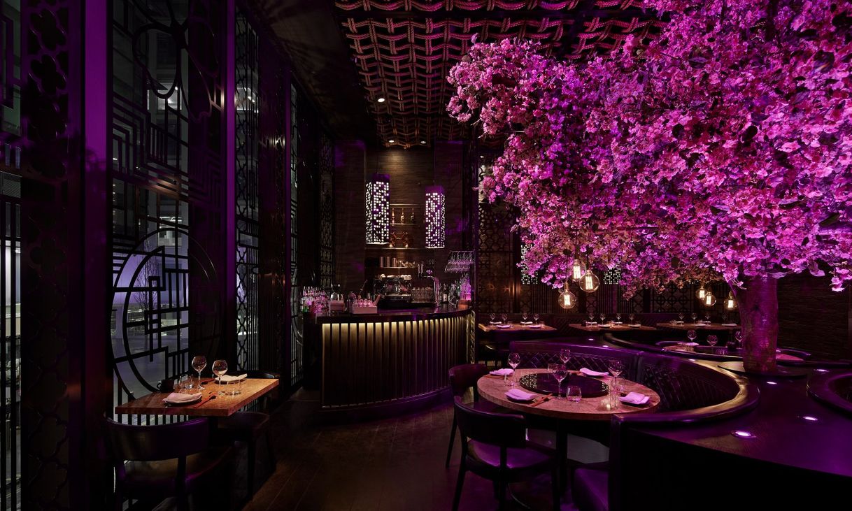 Restaurants Tattu London