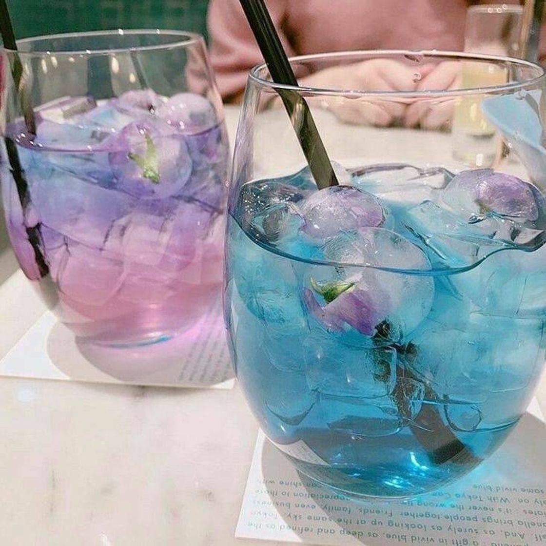 Moda Drinks