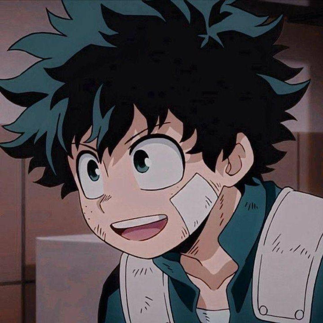 Social Midorya Icon