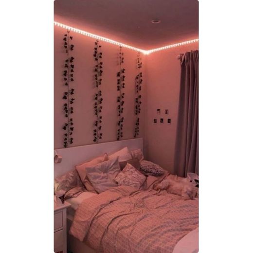 Quarto asthetic🦋