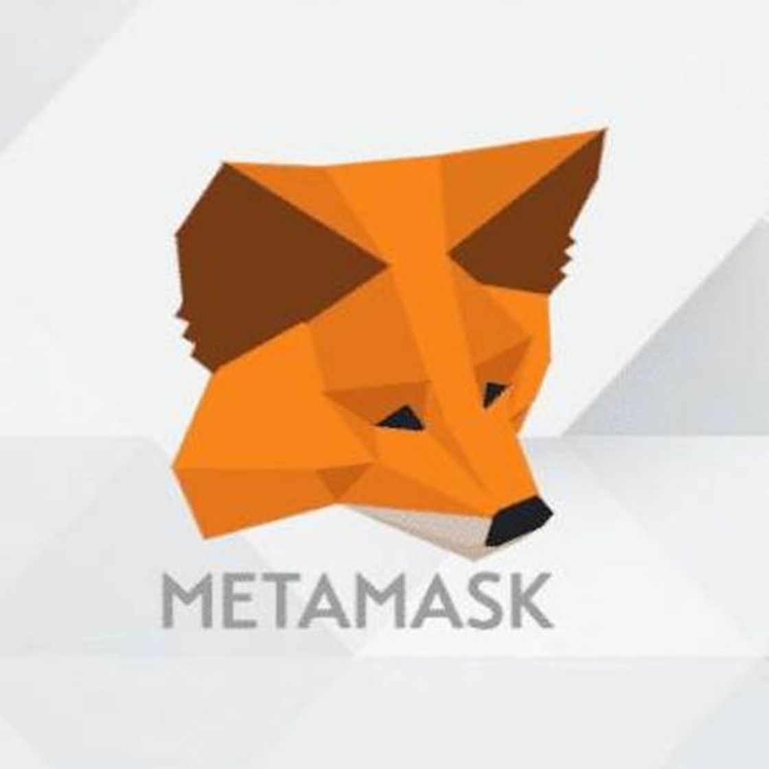 App MetaMask