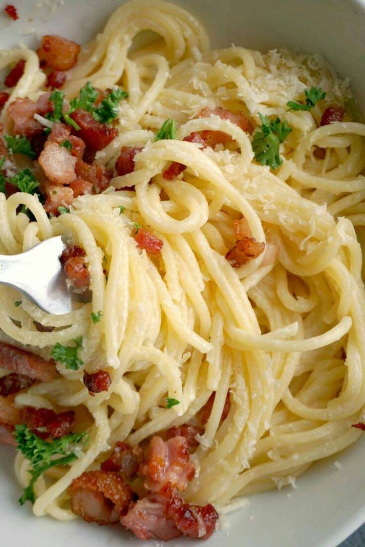 Moda Carbonara