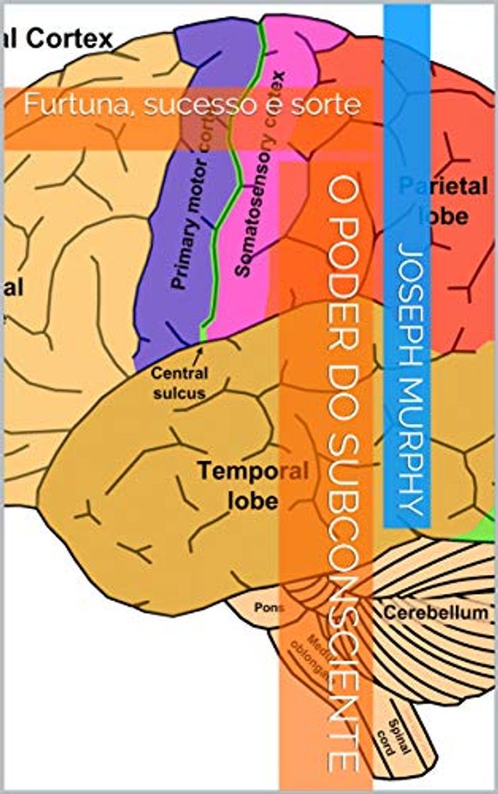 Libro O Poder do Subconsciente: Furtuna, sucesso e sorte
