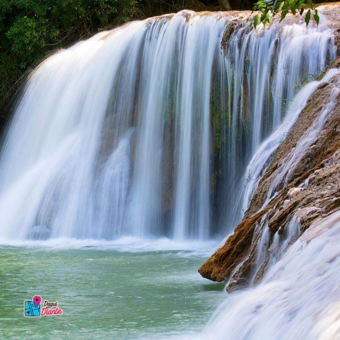 Social Mato Grosso do Sul 