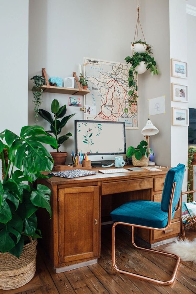 Casa Vintage