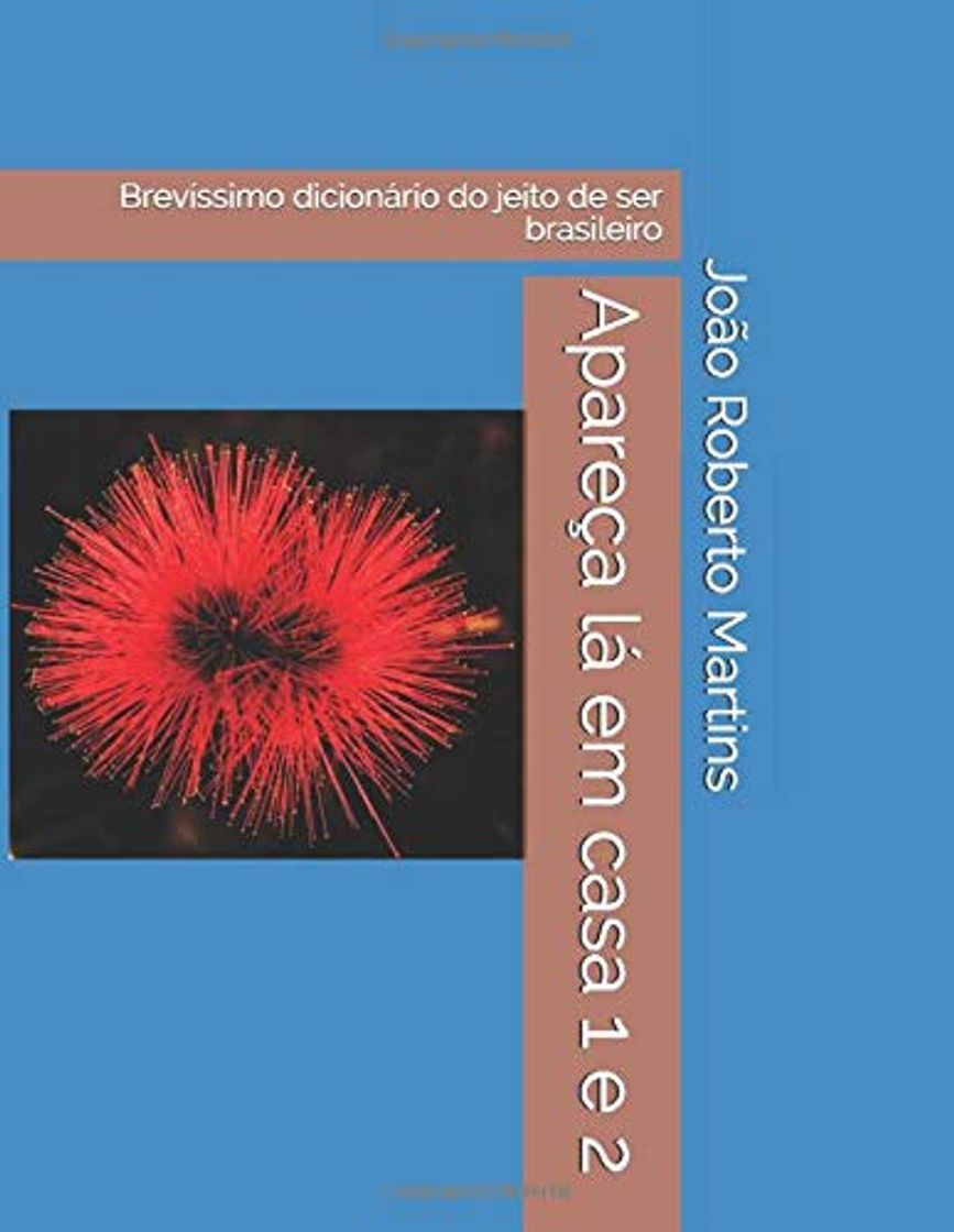 Libros Apareça lá em casa 1 e 2: Brevíssimo dicionário do jeito de ser brasileiro