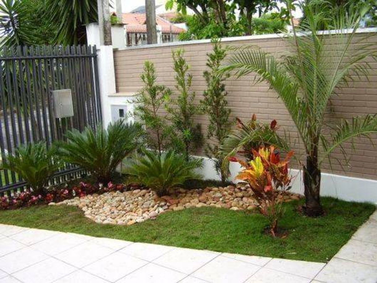 Moda Lindo jardim para sua casa