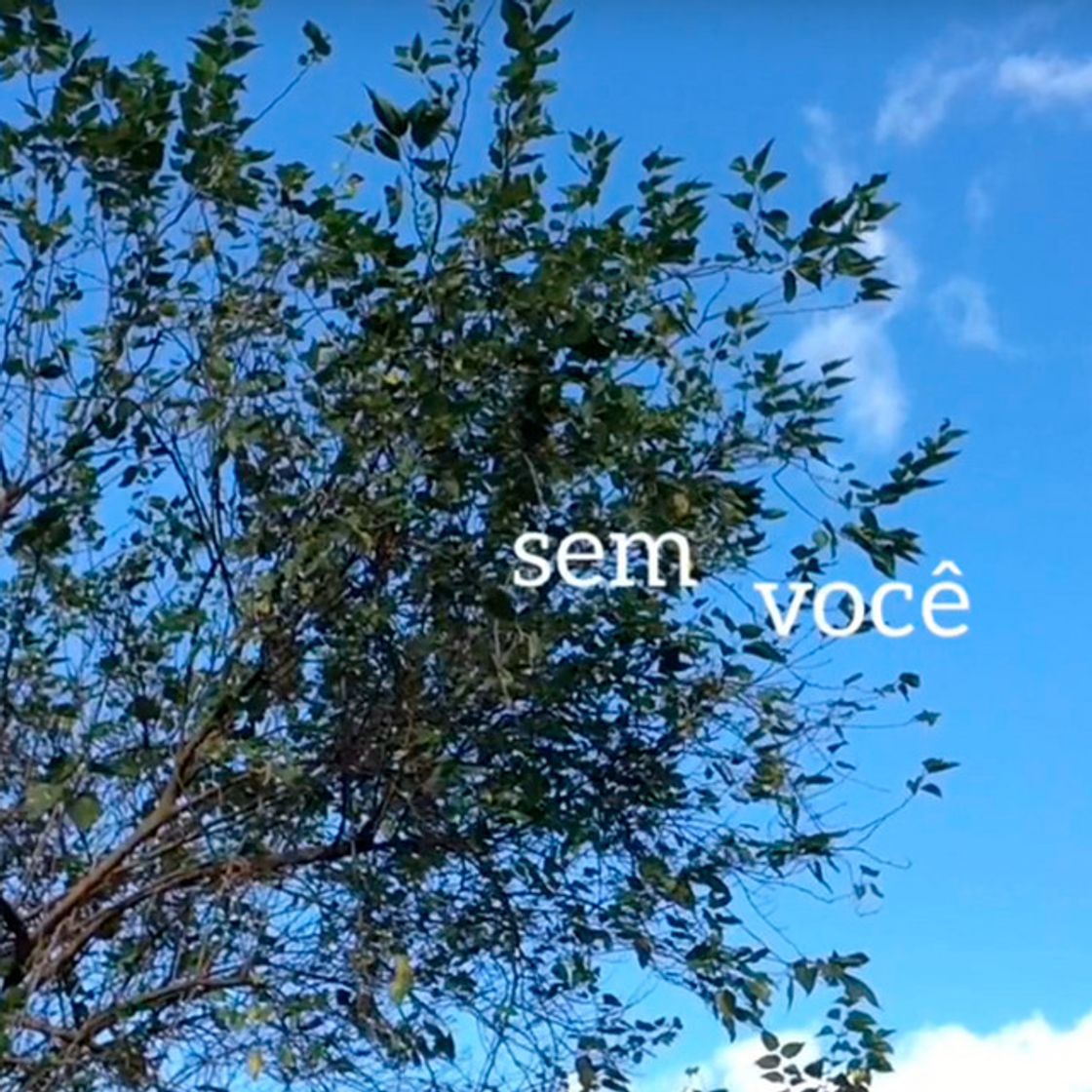 Music sem você - Acoustic Version