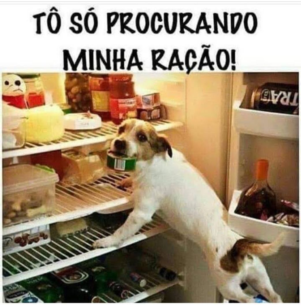 Social Cachorrada 