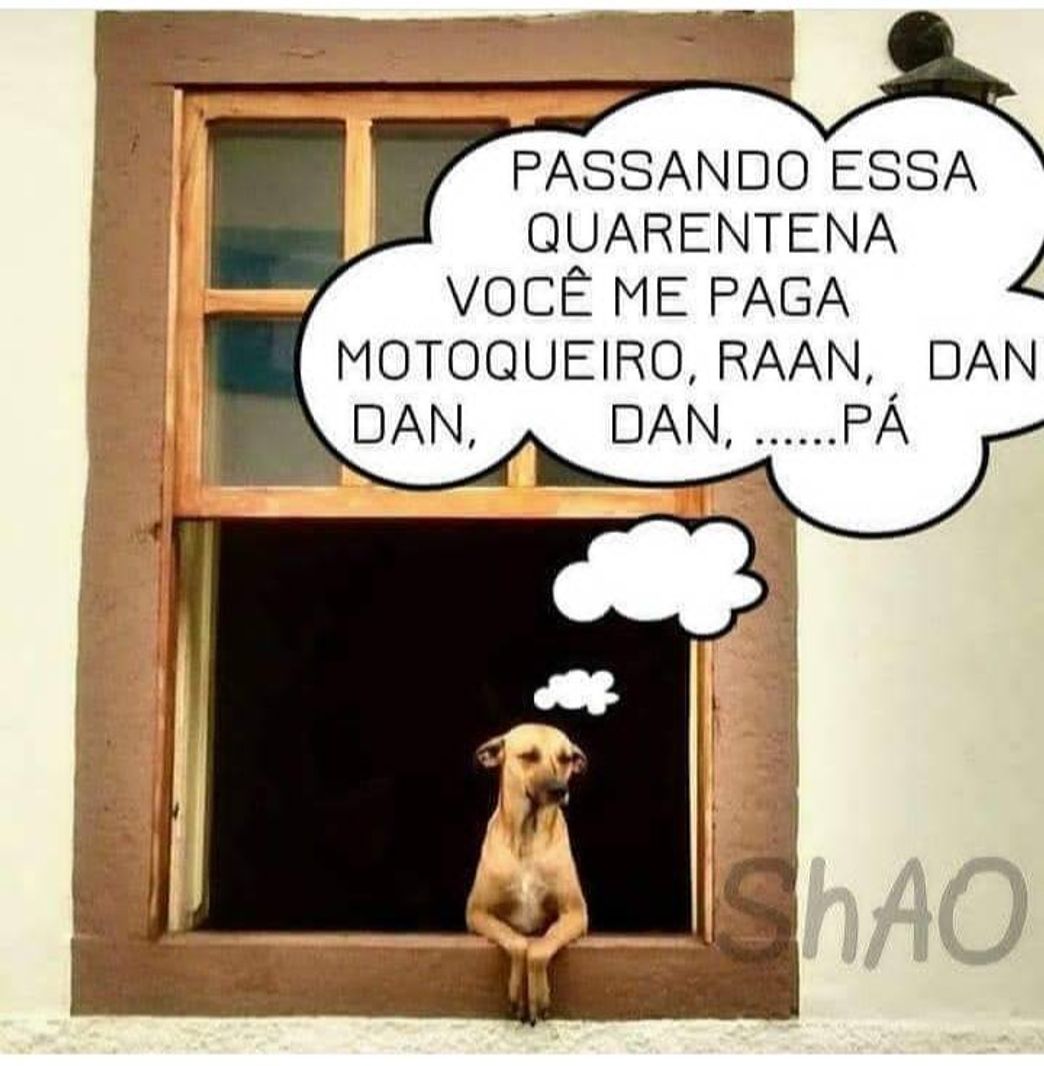 Social Cachorrada 