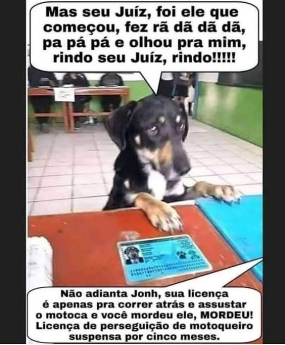 Social Cachorrada 