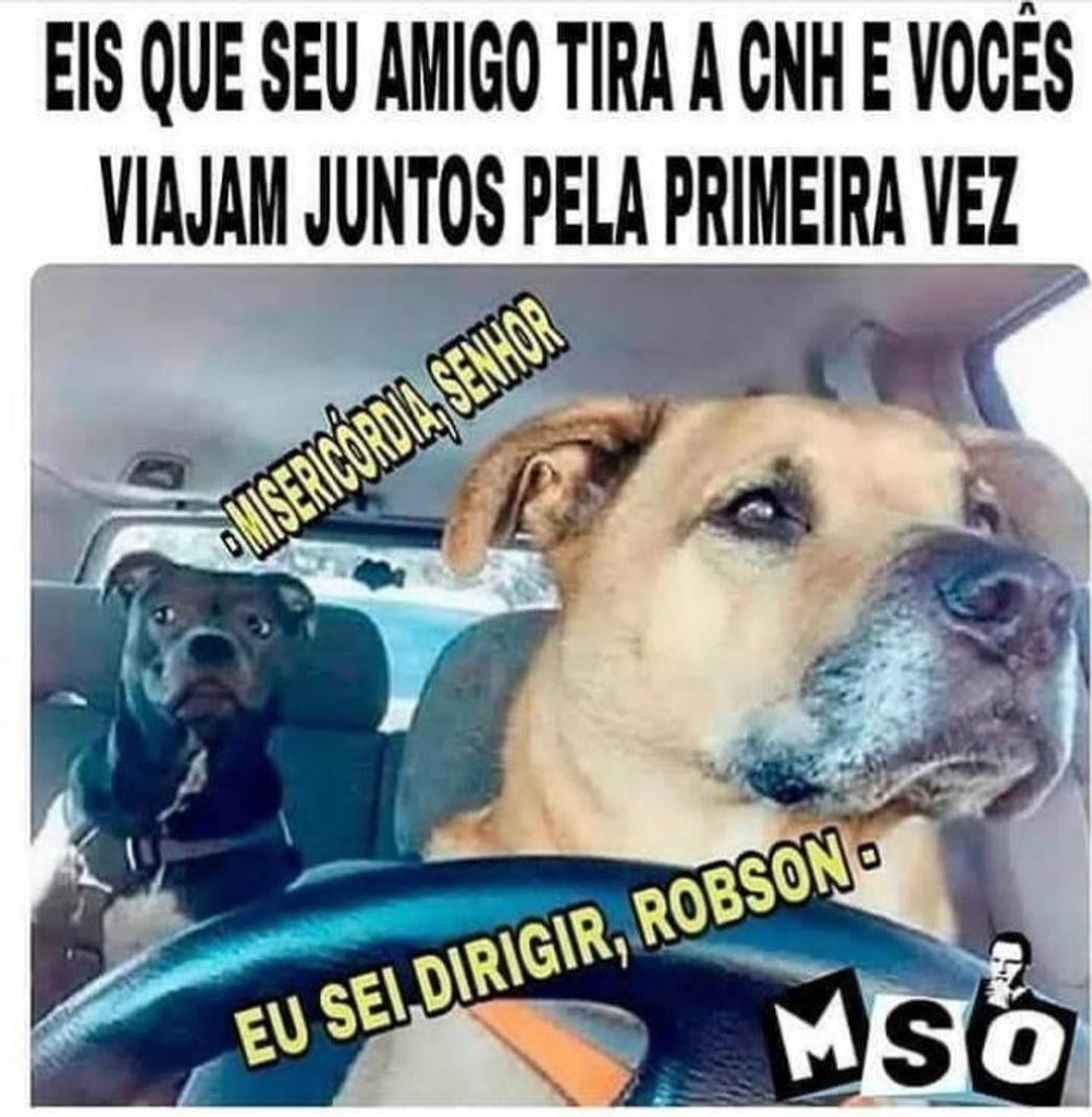 Social Cachorrada 