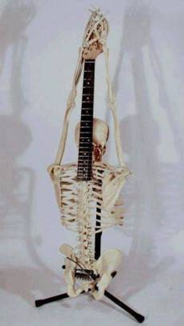 Fashion guitar