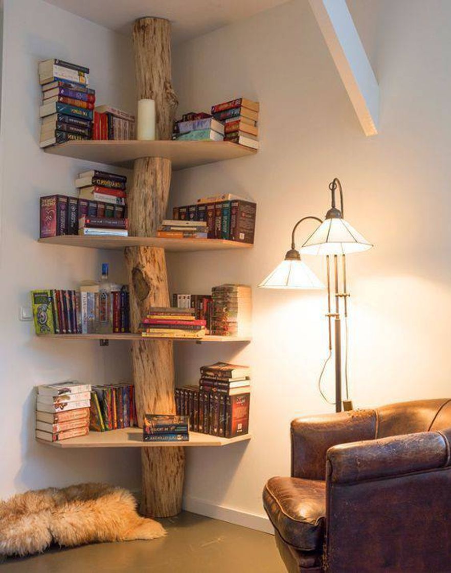 Moda Objeto decoração livros 