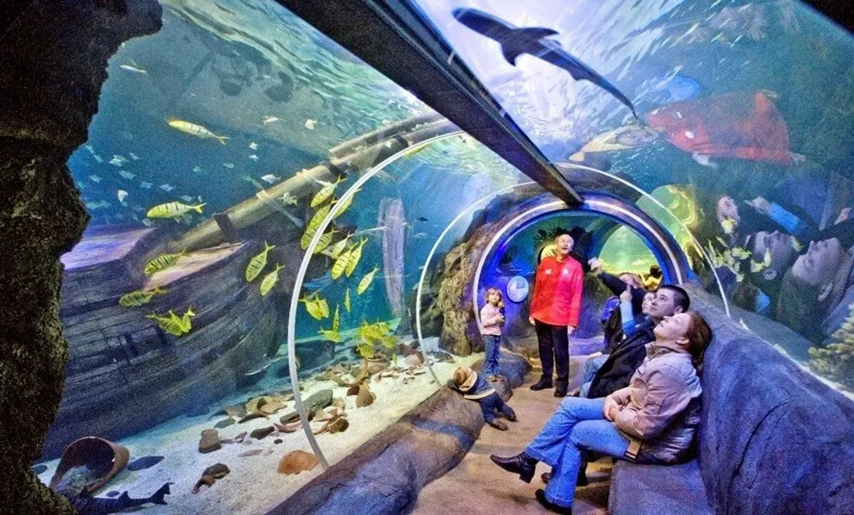 Place SEA LIFE Orlando Aquarium
