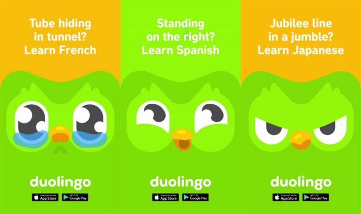 Fashion Duolingo