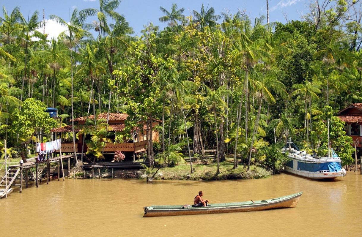 Lugar Ilha do Combú