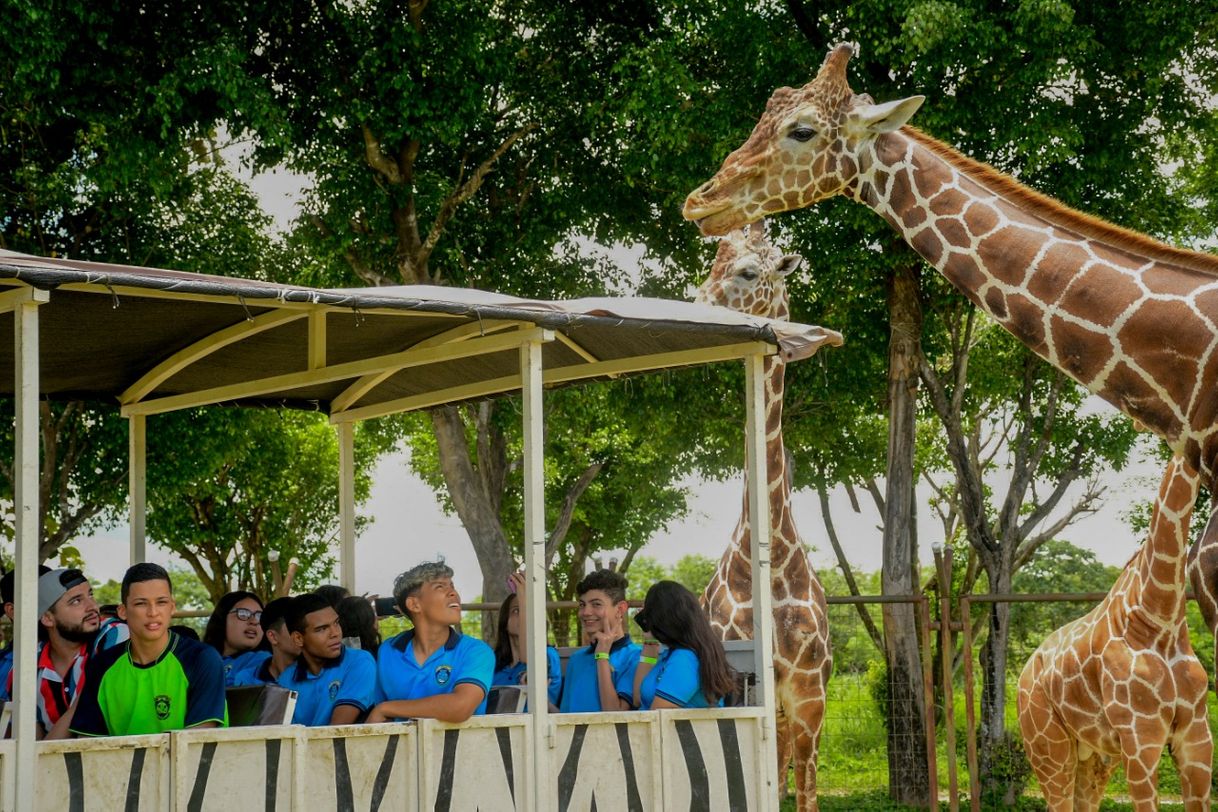 Lugar África Safari Costa Rica