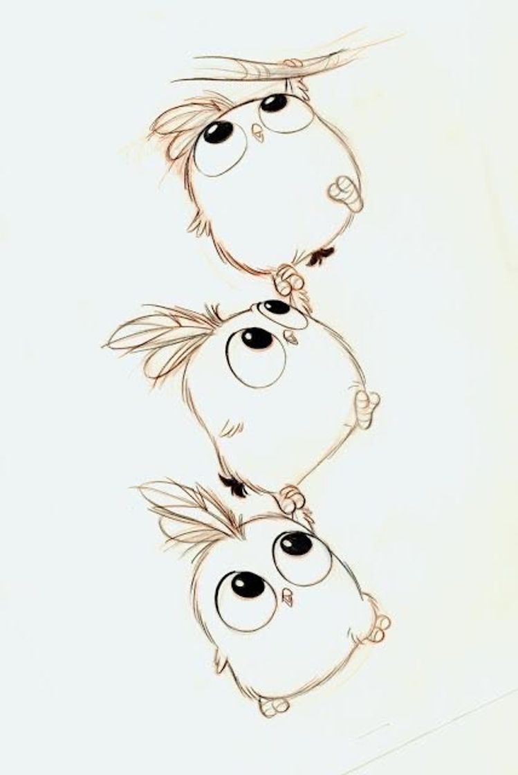 Moda Curte drawing From Angry Birds