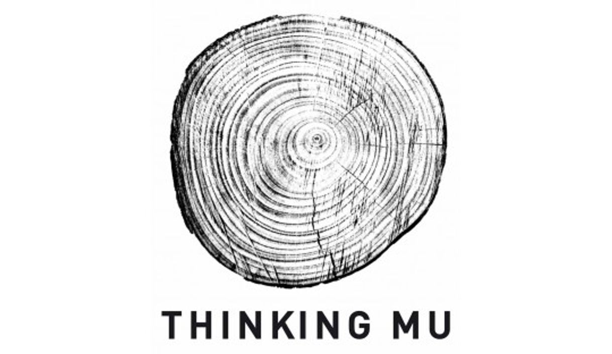 Social Thinking mu