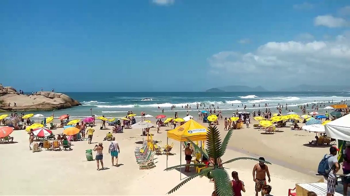 Lugar Playa de Joaquina