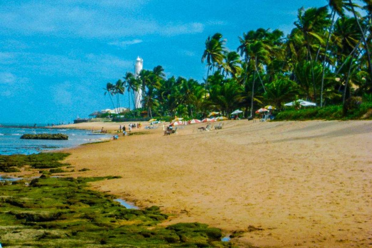Lugar Praia do Forte