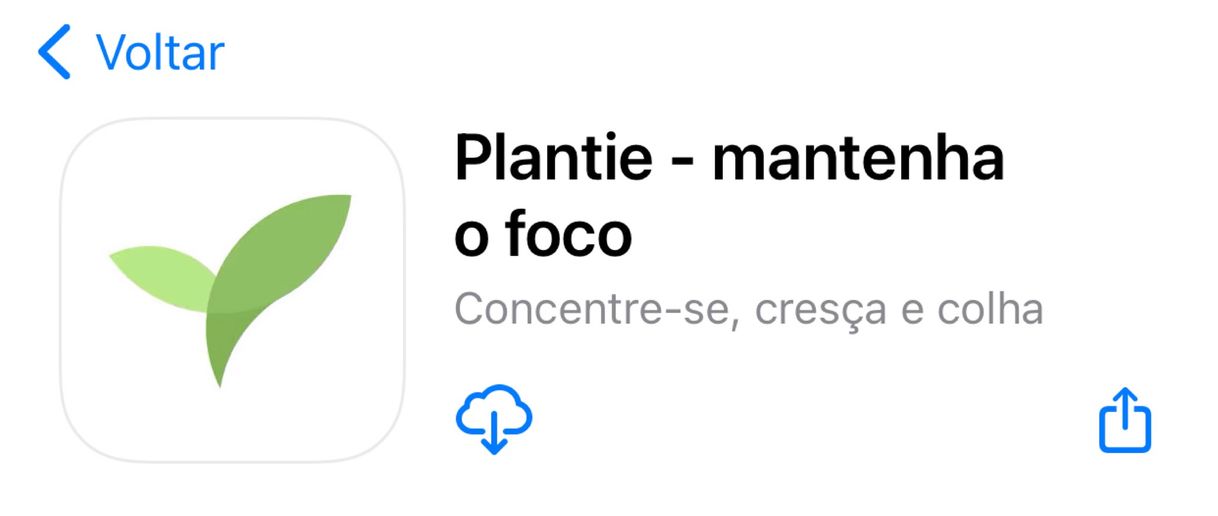 Moda Plantie - mantenha o foco