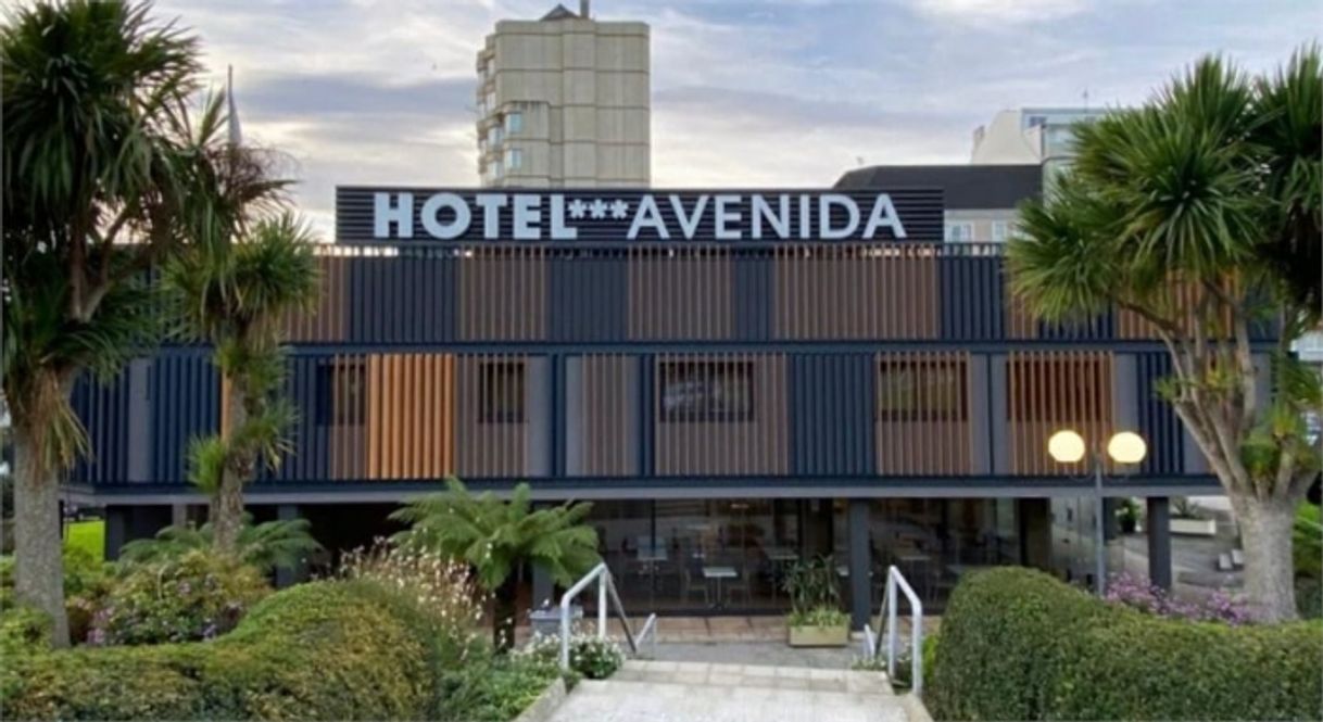 Lugar Hotel Avenida