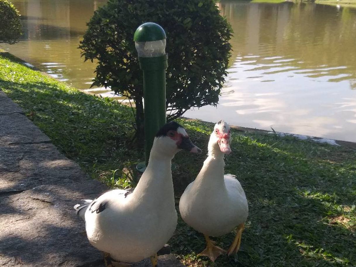 Place Pousada do Lago