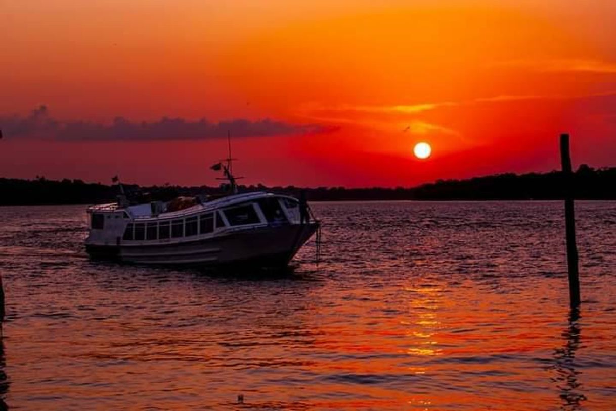 Moda Paisagem amazônica 